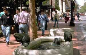 noleggio lungo termine a privati